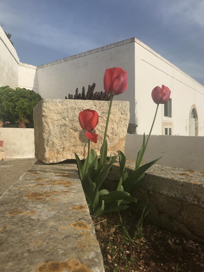אוסטוני Masseria Rienzo מראה חיצוני תמונה