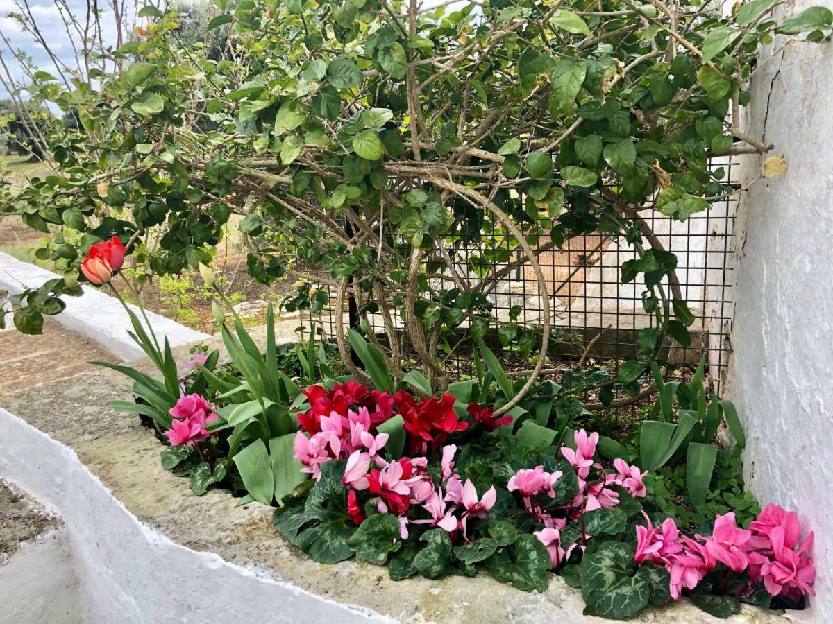 אוסטוני Masseria Rienzo מראה חיצוני תמונה